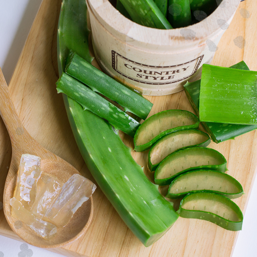 A row of aloe vera plants with bullet points of the benefits of aloe vera for hair: exfoliates the scalp, unclogs hair follicles, anti-inflammatory, and reduces scalp inflammation.